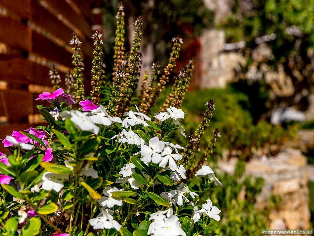 Fotinis Cottage Symi Exteriér fotografie
